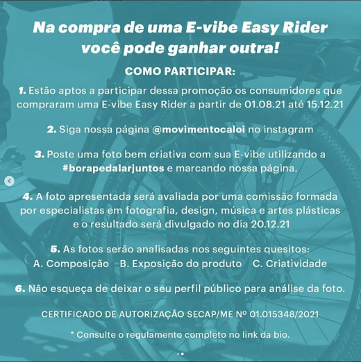 e-vibe easy rider